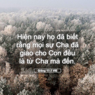 Picture 05 - Giăng 17:7 VIE - Hiện nay họ đã biết rằng mọi sự Cha - Bible Verse Picture