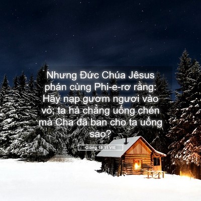 Picture 05 - Giăng 18:11 VIE - Nhưng Đức Chúa Jêsus phán cùng Phi-e-rơ - Bible Verse Picture