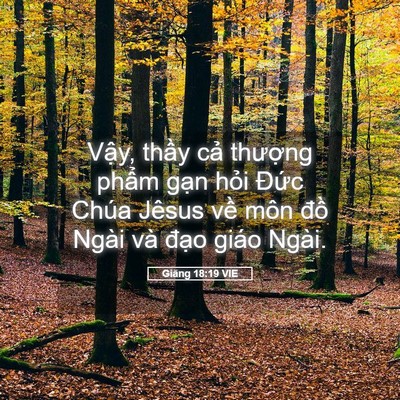 Picture 05 - Giăng 18:19 VIE - Vậy, thầy cả thượng phẩm gạn hỏi - Bible Verse Picture