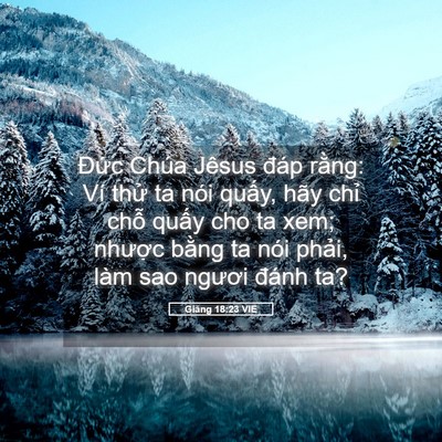 Picture 05 - Giăng 18:23 VIE - Đức Chúa Jêsus đáp rằng: Ví thử ta - Bible Verse Picture