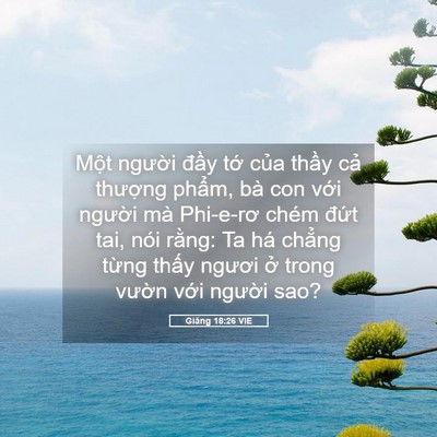 Picture 05 - Giăng 18:26 VIE - Một người đầy tớ của thầy cả - Bible Verse Picture