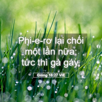 Picture 05 - Giăng 18:27 VIE - Phi-e-rơ lại chối một lần nữa; tức - Bible Verse Picture