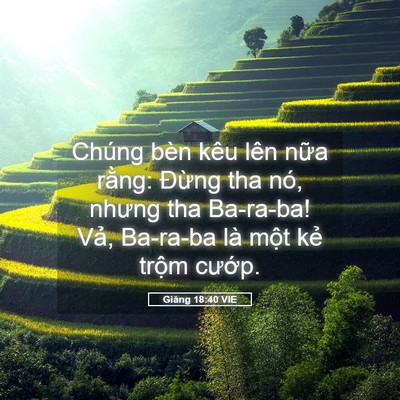 Picture 05 - Giăng 18:40 VIE - Chúng bèn kêu lên nữa rằng: Đừng tha - Bible Verse Picture