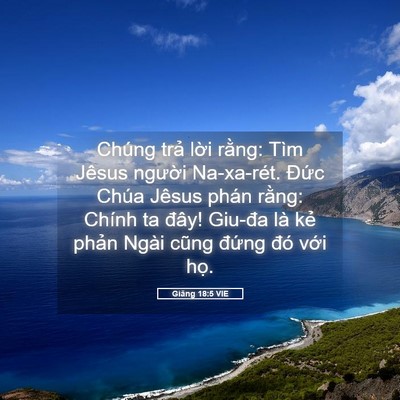 Picture 05 - Giăng 18:5 VIE - Chúng trả lời rằng: Tìm Jêsus người - Bible Verse Picture