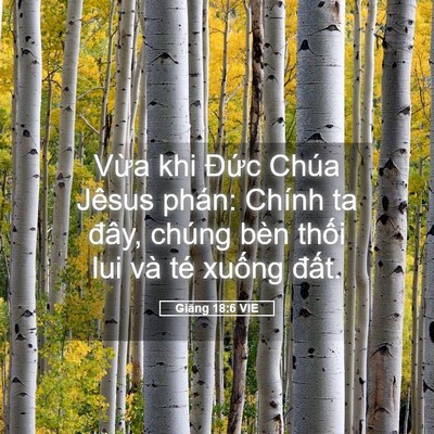Picture 05 - Giăng 18:6 VIE - Vừa khi Đức Chúa Jêsus phán: Chính ta - Bible Verse Picture