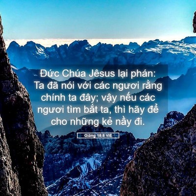 Picture 05 - Giăng 18:8 VIE - Đức Chúa Jêsus lại phán: Ta đã nói - Bible Verse Picture