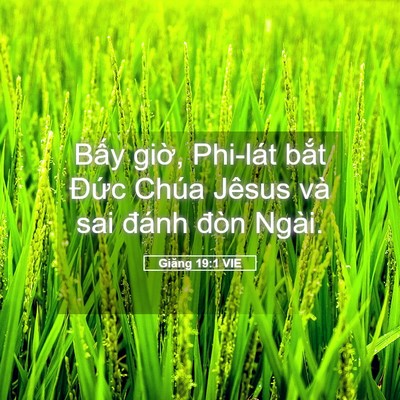 Picture 05 - Giăng 19:1 VIE - Bấy giờ, Phi-lát bắt Đức Chúa Jêsus - Bible Verse Picture