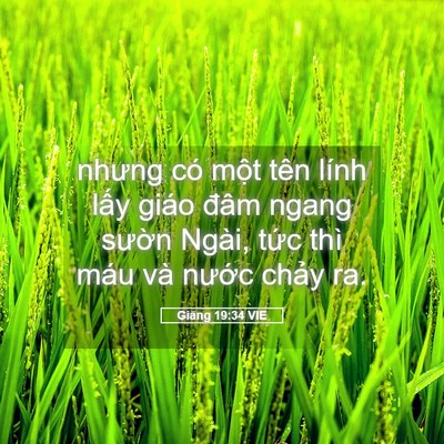 Picture 05 - Giăng 19:34 VIE - nhưng có một tên lính lấy giáo đâm - Bible Verse Picture