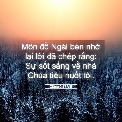 Picture 05 - Giăng 2:17 VIE - Môn đồ Ngài bèn nhớ lại lời đã - Bible Verse Picture