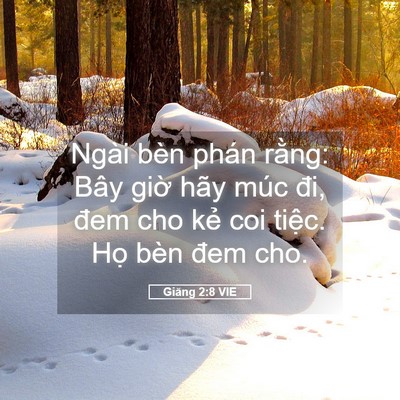 Picture 05 - Giăng 2:8 VIE - Ngài bèn phán rằng: Bây giờ hãy múc - Bible Verse Picture