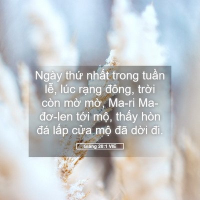 Picture 05 - Giăng 20:1 VIE - Ngày thứ nhất trong tuần lễ, lúc rạng - Bible Verse Picture