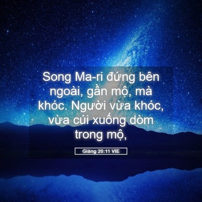 Picture 05 - Giăng 20:11 VIE - Song Ma-ri đứng bên ngoài, gần mộ, mà - Bible Verse Picture