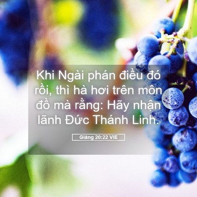 Picture 05 - Giăng 20:22 VIE - Khi Ngài phán điều đó rồi, thì hà hơi - Bible Verse Picture