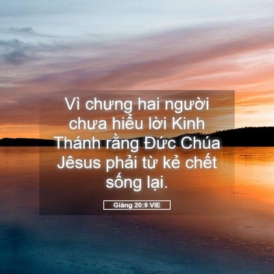 Picture 05 - Giăng 20:9 VIE - Vì chưng hai người chưa hiểu lời Kinh - Bible Verse Picture