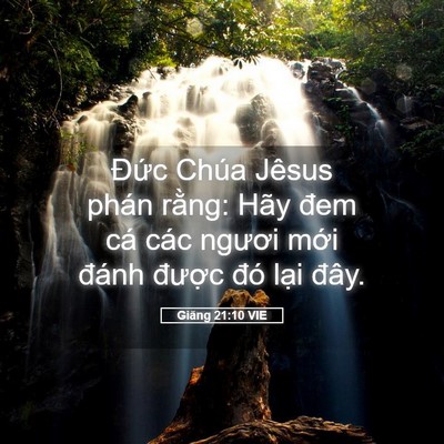 Picture 05 - Giăng 21:10 VIE - Đức Chúa Jêsus phán rằng: Hãy đem cá - Bible Verse Picture