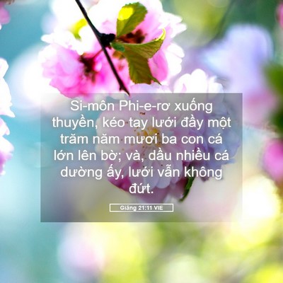 Picture 05 - Giăng 21:11 VIE - Si-môn Phi-e-rơ xuống thuyền, kéo tay - Bible Verse Picture