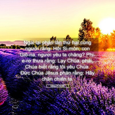 Picture 05 - Giăng 21:16 VIE - Ngài lại phán lần thứ hai cùng người - Bible Verse Picture