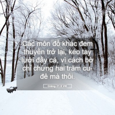 Picture 05 - Giăng 21:8 VIE - Các môn đồ khác đem thuyền trở lại, - Bible Verse Picture