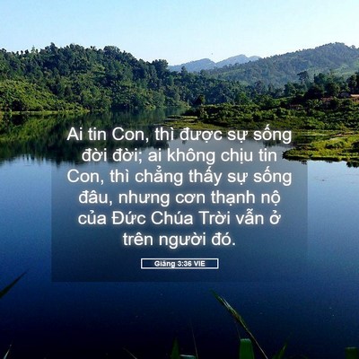 Picture 05 - Giăng 3:36 VIE - Ai tin Con, thì được sự sống đời - Bible Verse Picture
