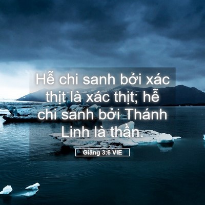 Picture 05 - Giăng 3:6 VIE - Hễ chi sanh bởi xác thịt là xác thịt; - Bible Verse Picture