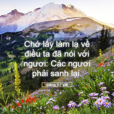 Picture 05 - Giăng 3:7 VIE - Chớ lấy làm lạ về điều ta đã nói - Bible Verse Picture