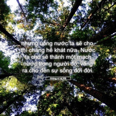 Picture 05 - Giăng 4:14 VIE - nhưng uống nước ta sẽ cho, thì chẳng - Bible Verse Picture