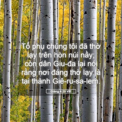 Picture 05 - Giăng 4:20 VIE - Tổ phụ chúng tôi đã thờ lạy trên - Bible Verse Picture
