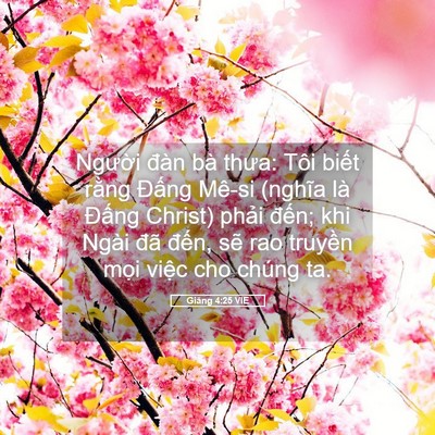Picture 05 - Giăng 4:25 VIE - Người đàn bà thưa: Tôi biết rằng - Bible Verse Picture