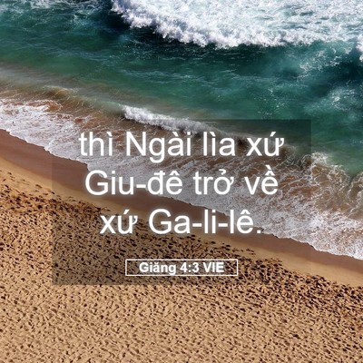 Picture 05 - Giăng 4:3 VIE - thì Ngài lìa xứ Giu-đê trở về xứ - Bible Verse Picture