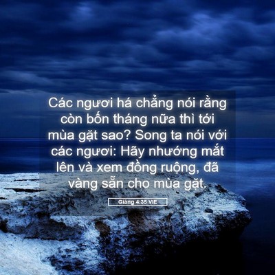 Picture 05 - Giăng 4:35 VIE - Các ngươi há chẳng nói rằng còn bốn - Bible Verse Picture