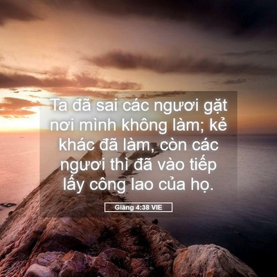 Picture 05 - Giăng 4:38 VIE - Ta đã sai các ngươi gặt nơi mình không - Bible Verse Picture