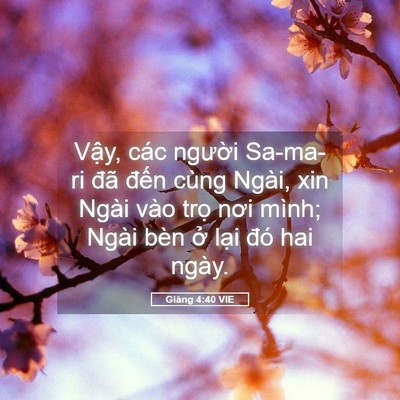 Picture 05 - Giăng 4:40 VIE - Vậy, các người Sa-ma-ri đã đến cùng - Bible Verse Picture