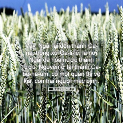 Picture 05 - Giăng 4:46 VIE - Vậy, Ngài lại đến thành Ca-na, trong - Bible Verse Picture