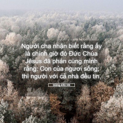 Picture 05 - Giăng 4:53 VIE - Người cha nhận biết rằng ấy là chính - Bible Verse Picture