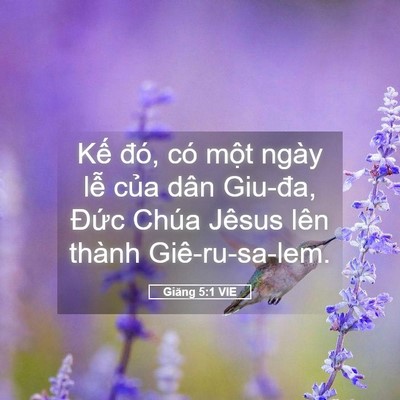 Picture 05 - Giăng 5:1 VIE - Kế đó, có một ngày lễ của dân - Bible Verse Picture