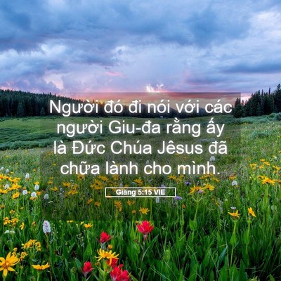 Picture 05 - Giăng 5:15 VIE - Người đó đi nói với các người - Bible Verse Picture