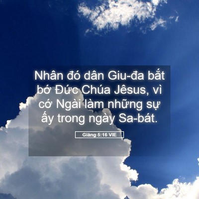 Picture 05 - Giăng 5:16 VIE - Nhân đó dân Giu-đa bắt bớ Đức Chúa - Bible Verse Picture