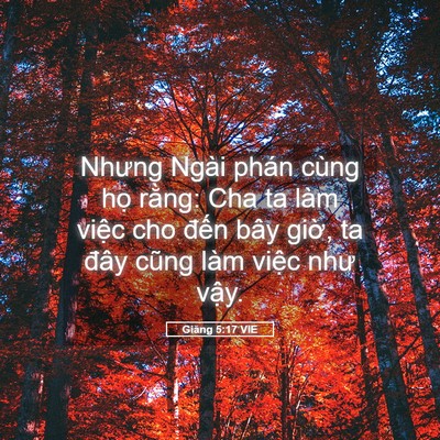 Picture 05 - Giăng 5:17 VIE - Nhưng Ngài phán cùng họ rằng: Cha ta làm - Bible Verse Picture