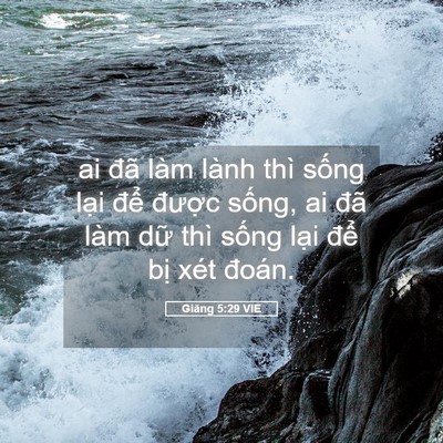 Picture 05 - Giăng 5:29 VIE - ai đã làm lành thì sống lại để - Bible Verse Picture
