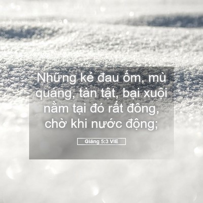 Picture 05 - Giăng 5:3 VIE - Những kẻ đau ốm, mù quáng, tàn tật, - Bible Verse Picture