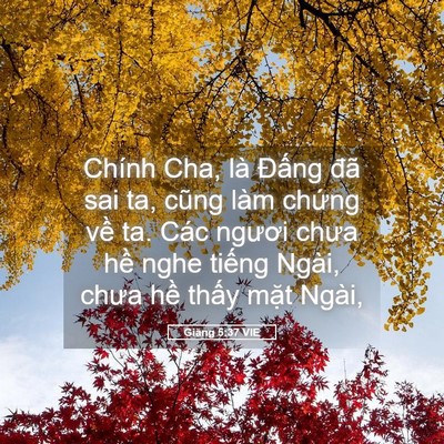 Picture 05 - Giăng 5:37 VIE - Chính Cha, là Đấng đã sai ta, cũng làm - Bible Verse Picture