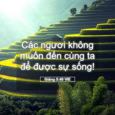 Picture 05 - Giăng 5:40 VIE - Các ngươi không muốn đến cùng ta để - Bible Verse Picture