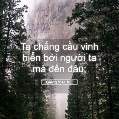 Picture 05 - Giăng 5:41 VIE - Ta chẳng cầu vinh hiển bởi người ta - Bible Verse Picture