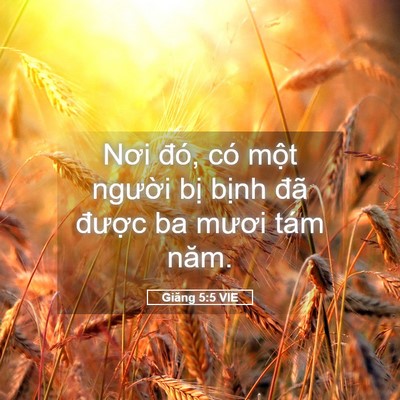 Picture 05 - Giăng 5:5 VIE - Nơi đó, có một người bị bịnh đã - Bible Verse Picture