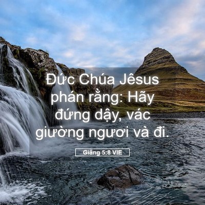 Picture 05 - Giăng 5:8 VIE - Đức Chúa Jêsus phán rằng: Hãy đứng - Bible Verse Picture