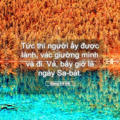 Picture 05 - Giăng 5:9 VIE - Tức thì người ấy được lành, vác - Bible Verse Picture