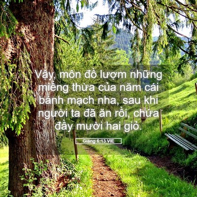 Picture 05 - Giăng 6:13 VIE - Vậy, môn đồ lượm những miếng thừa - Bible Verse Picture