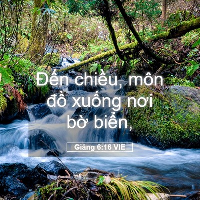 Picture 05 - Giăng 6:16 VIE - Đến chiều, môn đồ xuống nơi bờ - Bible Verse Picture