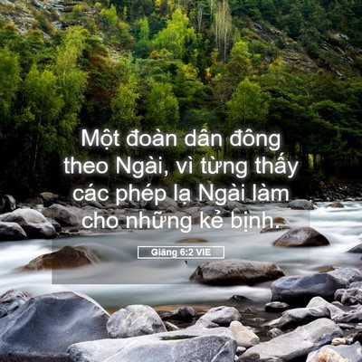 Picture 05 - Giăng 6:2 VIE - Một đoàn dân đông theo Ngài, vì từng - Bible Verse Picture