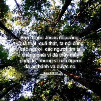 Picture 05 - Giăng 6:26 VIE - Đức Chúa Jêsus đáp rằng: Quả thật, - Bible Verse Picture
